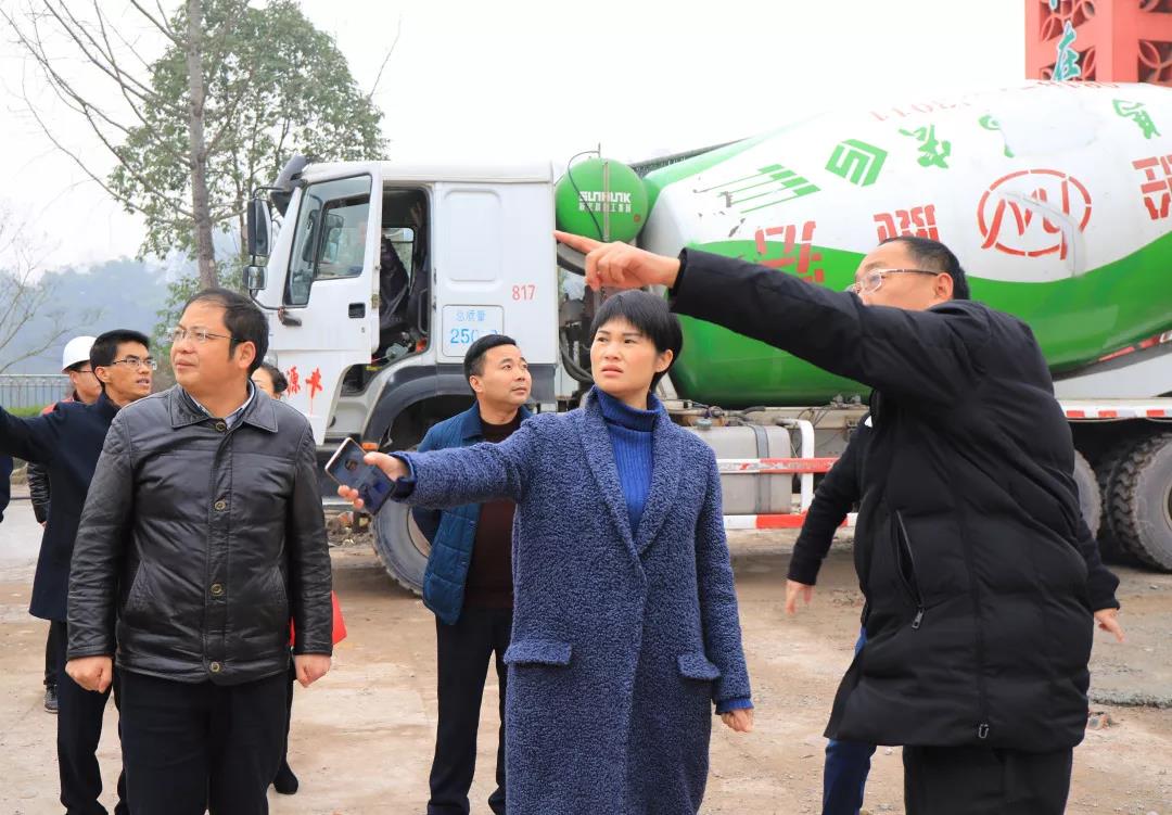 达川区副区长杜成英一行莅临达州东辰国际学校视察督促建设工作